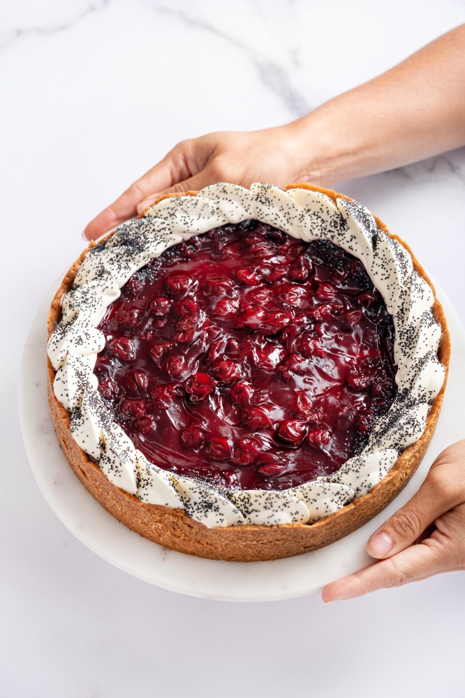 Praliné dort Ollies